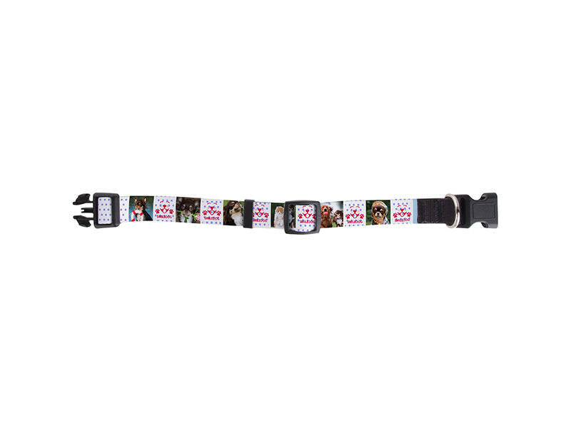 Craft Express 4 Pack Sublimation Pet Collars