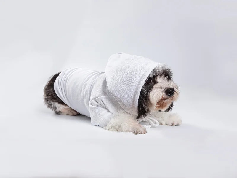 Craft Express 2 Pack X-Large Sublimation Pet Hoodies – Sublimation-Ready Dog Apparel