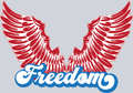 Freedom Wings - STK02145 (DTF Transfers)