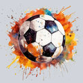 Soccer Paint 6 - STK05595 (DTF Transfers)
