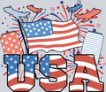 USA Stars And Stripes Flags - STK06259 (DTF Transfers)